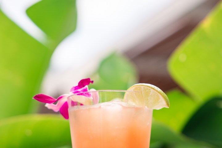 a vase filled with flowers sitting on a table
